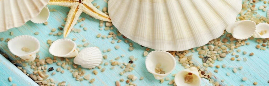 Kimberley pearl shells can repair bones claims biomedical group