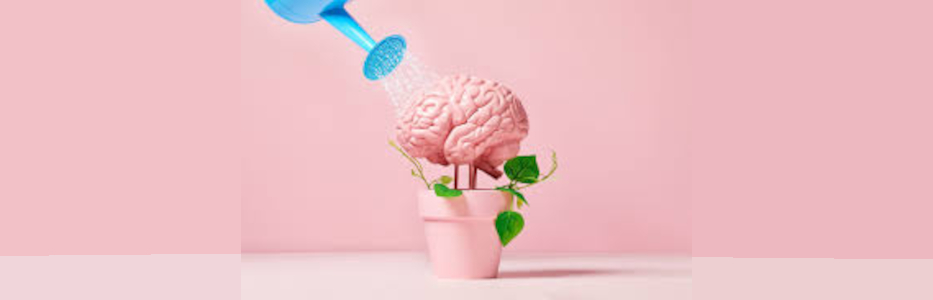 Senior living gets ‘smarter’ about development while waiting for next supply cycle