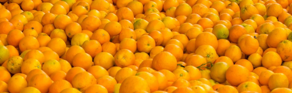 Senior living fractional ownership concept emerges in investment market