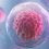 Stem cell hope emerges for disease of brain